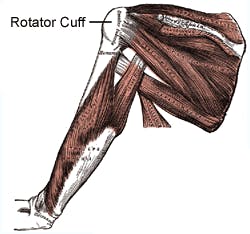 rotator cuff