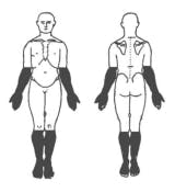 body diagram