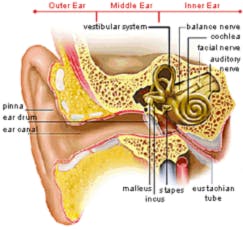 Diagram of Ear